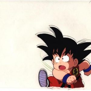 When is Goku's birthday? - Quora