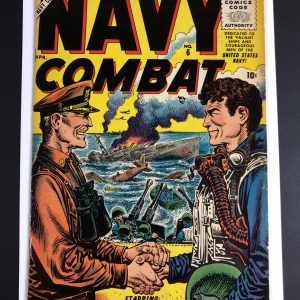 Navy Combat 6 VF-